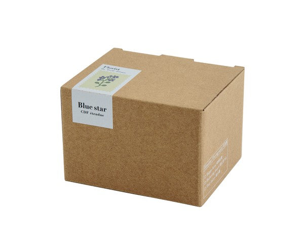BISQUE CDF 花朵設計陶瓷杯餐具禮品 (預訂)
