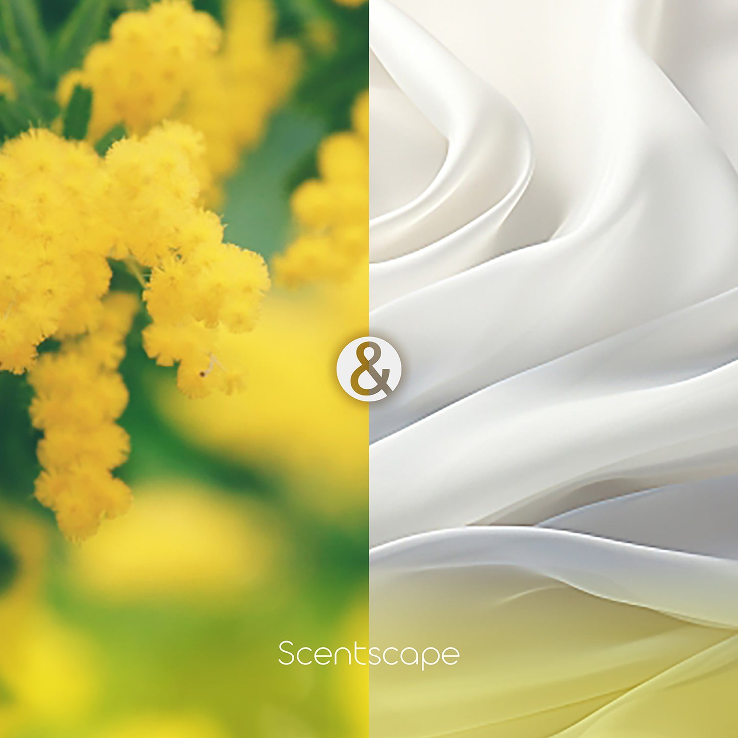 日本製 NIPPON KODO 日本香堂 Scentscape四季線香 含羞草&白麝香 (預購)