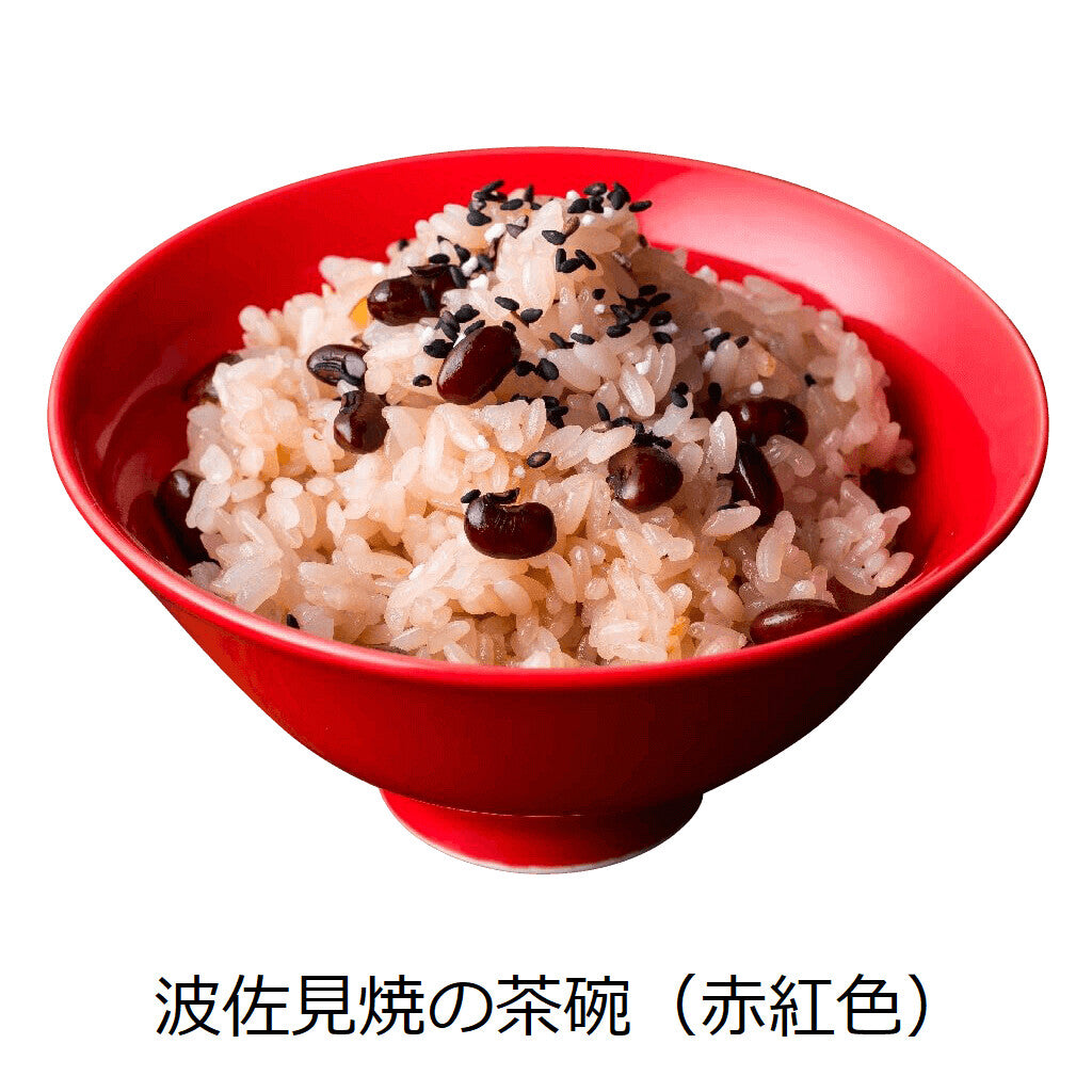 【DRESS】Hasami ware 波佐見燒彩色陶瓷飯碗 日本製 MS260338