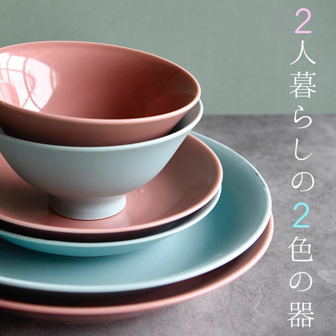 【DRESS】Hasami ware 波佐見燒彩色陶瓷飯碗 日本製 MS260338
