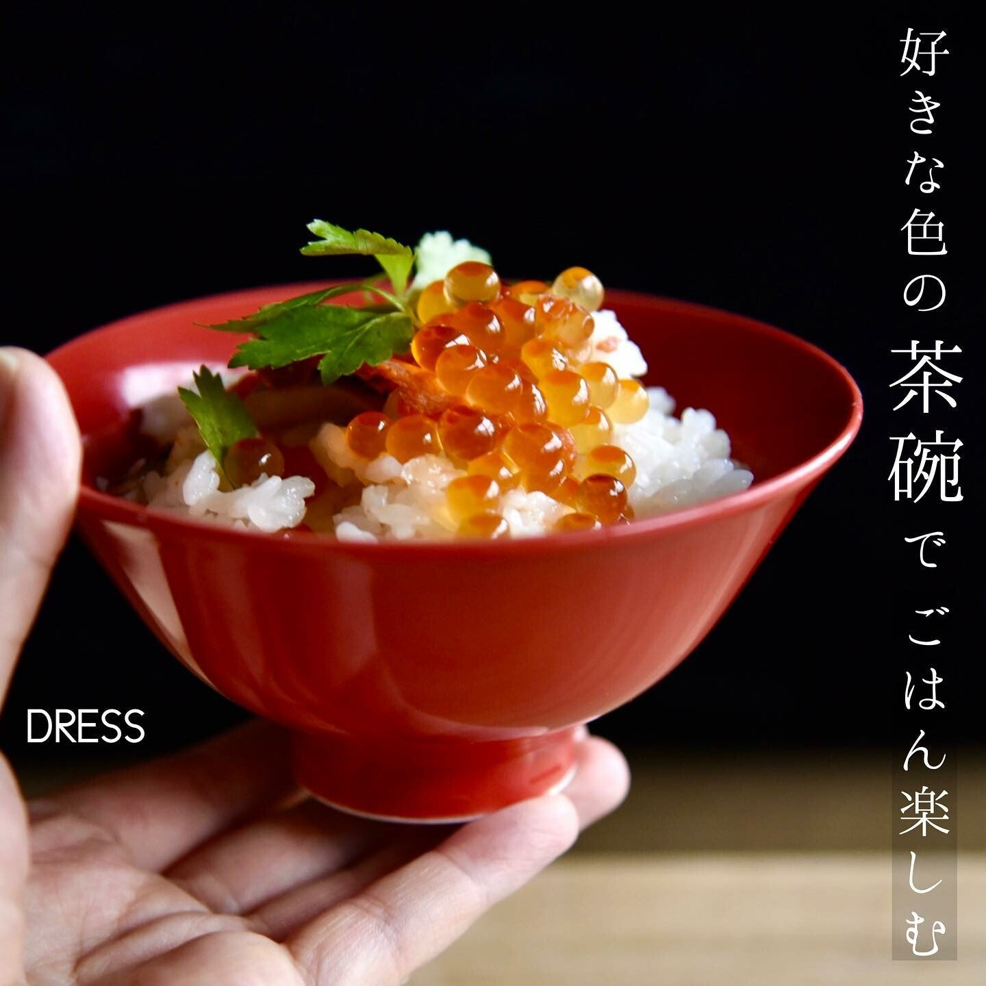 【DRESS】Hasami ware 波佐見燒彩色陶瓷飯碗 日本製 MS260338