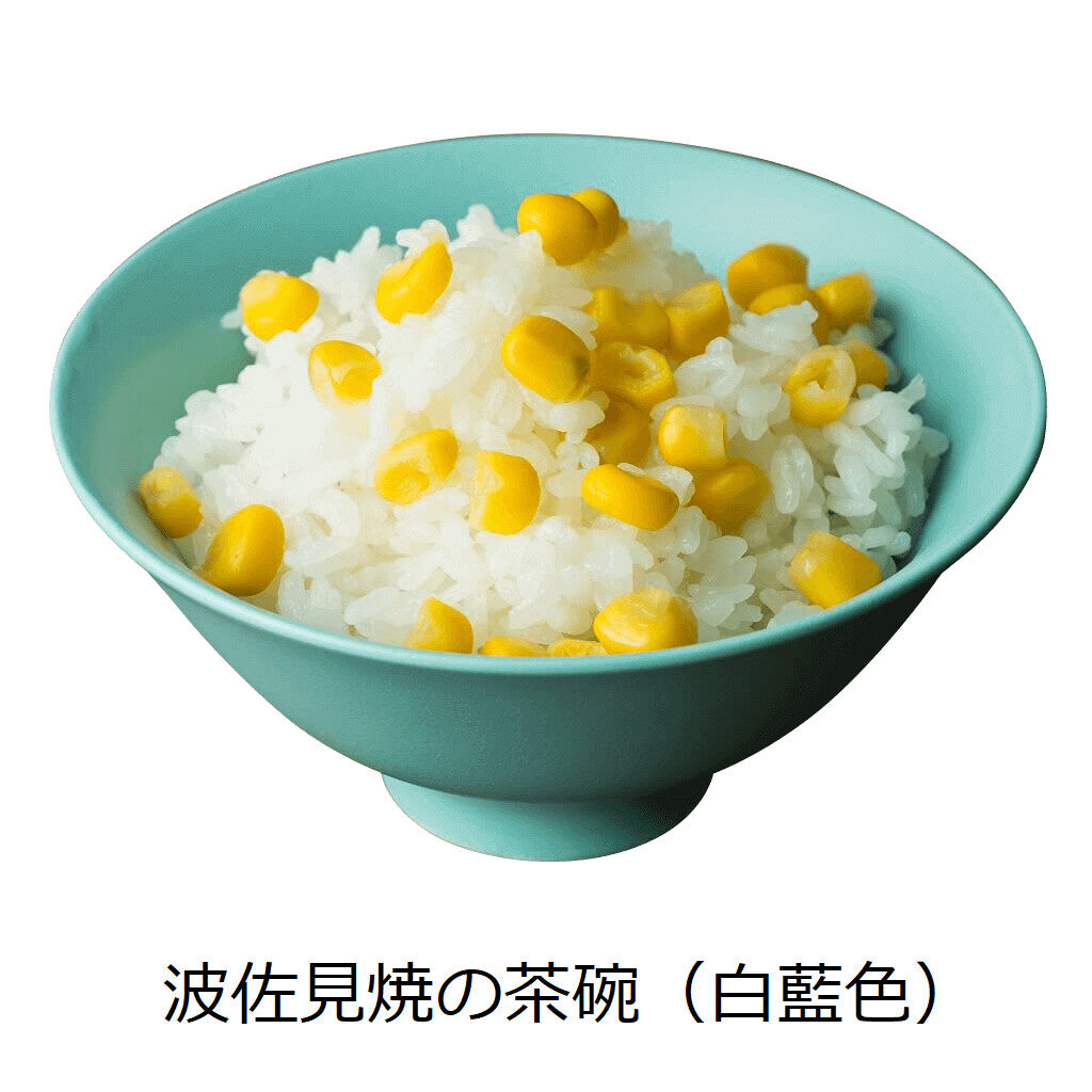 【DRESS】Hasami ware 波佐見燒彩色陶瓷飯碗 日本製 MS260338