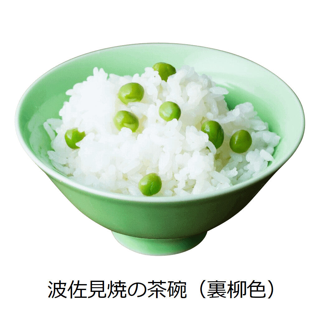 【DRESS】Hasami ware 波佐見燒彩色陶瓷飯碗 日本製 MS260338