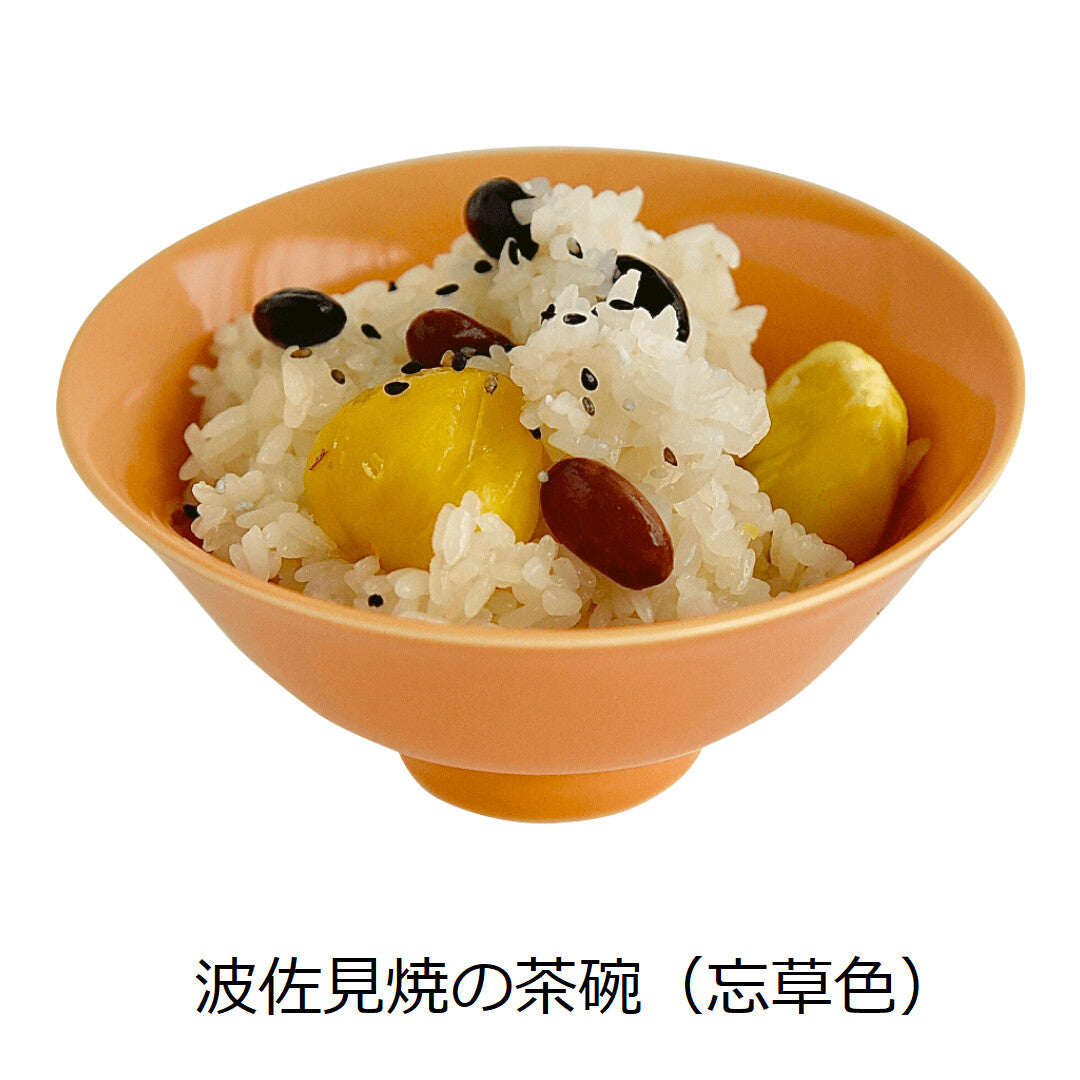 【DRESS】Hasami ware 波佐見燒彩色陶瓷飯碗 日本製 MS260338