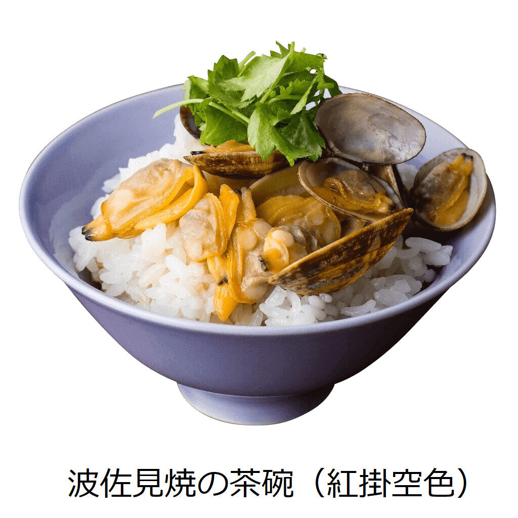 【DRESS】Hasami ware 波佐見燒彩色陶瓷飯碗 日本製 MS260338