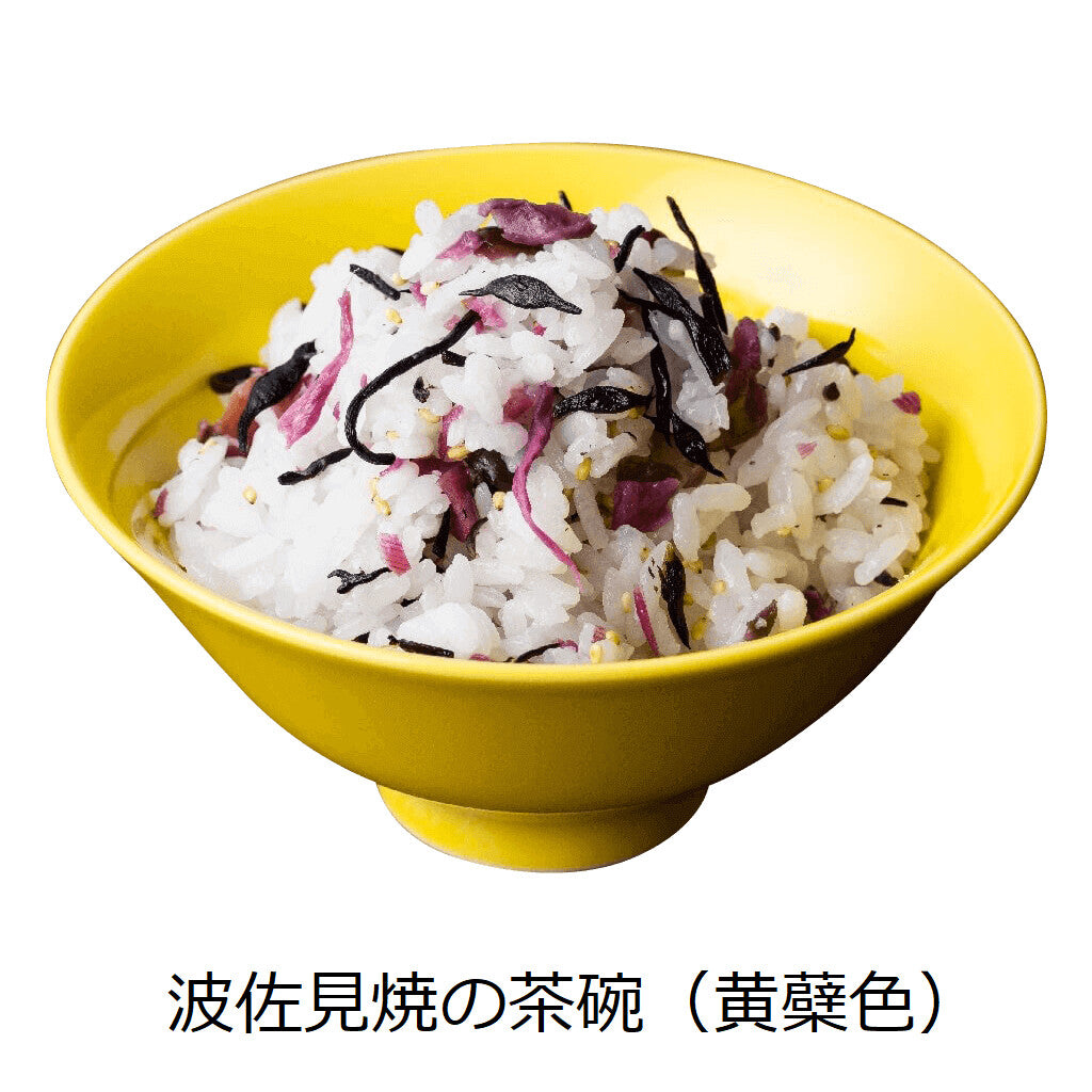 【DRESS】Hasami ware 波佐見燒彩色陶瓷飯碗 日本製 MS260338