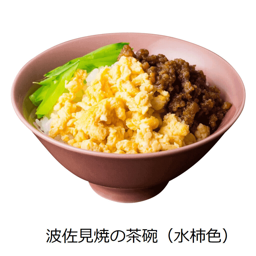 【DRESS】Hasami ware 波佐見燒彩色陶瓷飯碗 日本製 MS260338