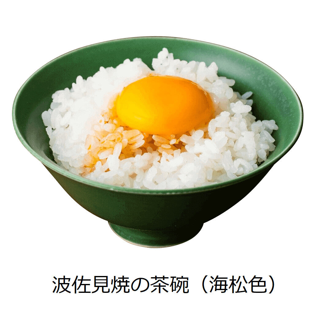 【DRESS】Hasami ware 波佐見燒彩色陶瓷飯碗 日本製 MS260338