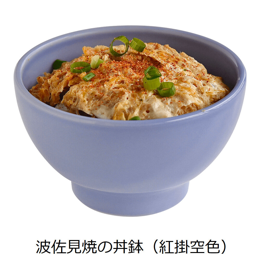 【DRESS】Hasami ware 波佐見燒彩色陶瓷14cm飯碗 日本製 MS260341