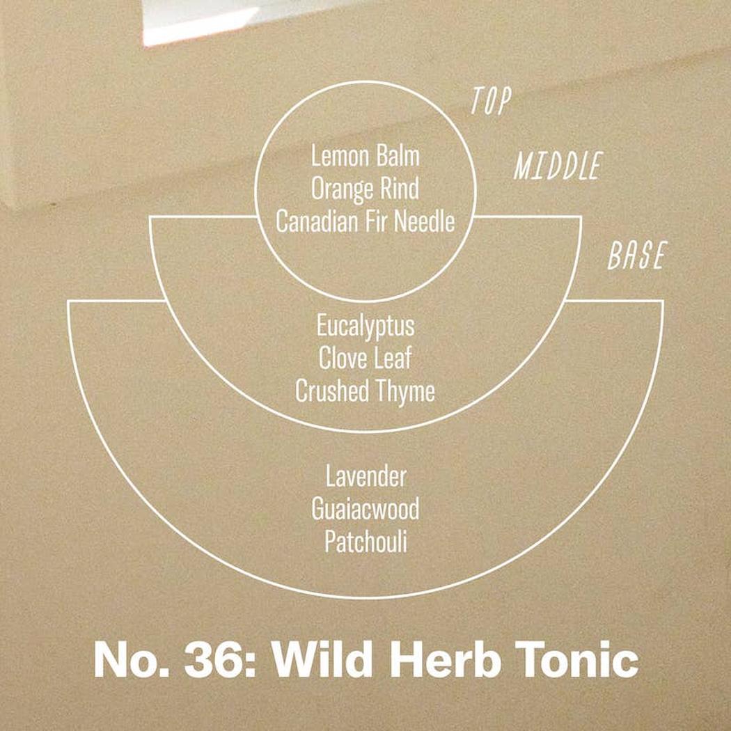 P.F. Candle Co. - 草本香氣 - 7.2 oz 標準大豆蠟燭 (Wild Herb Tonic)